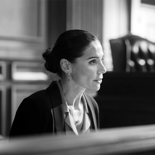 Basis of Plea in Criminal Offences