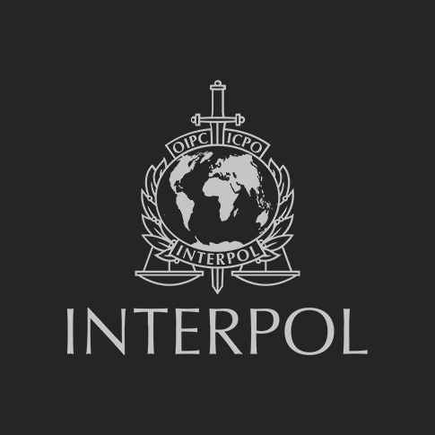 INTERPOL Silver Notices and Diffusions | Identifying & Targeting Criminal Proceeds Hidden Abroad
